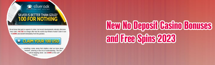 New no deposit bonus casino